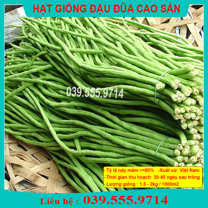 Hạt giống đậu đũa cao sản số 9 20gram