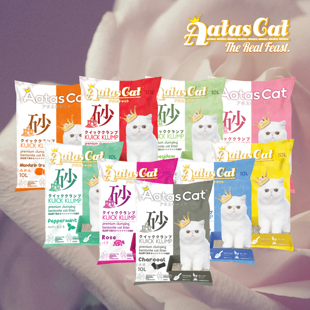 Cát Vệ Sinh Cho Mèo Cát Đất Set AASTAS CAT SINGAPORE Bao 10 Lít - 7kg Cát