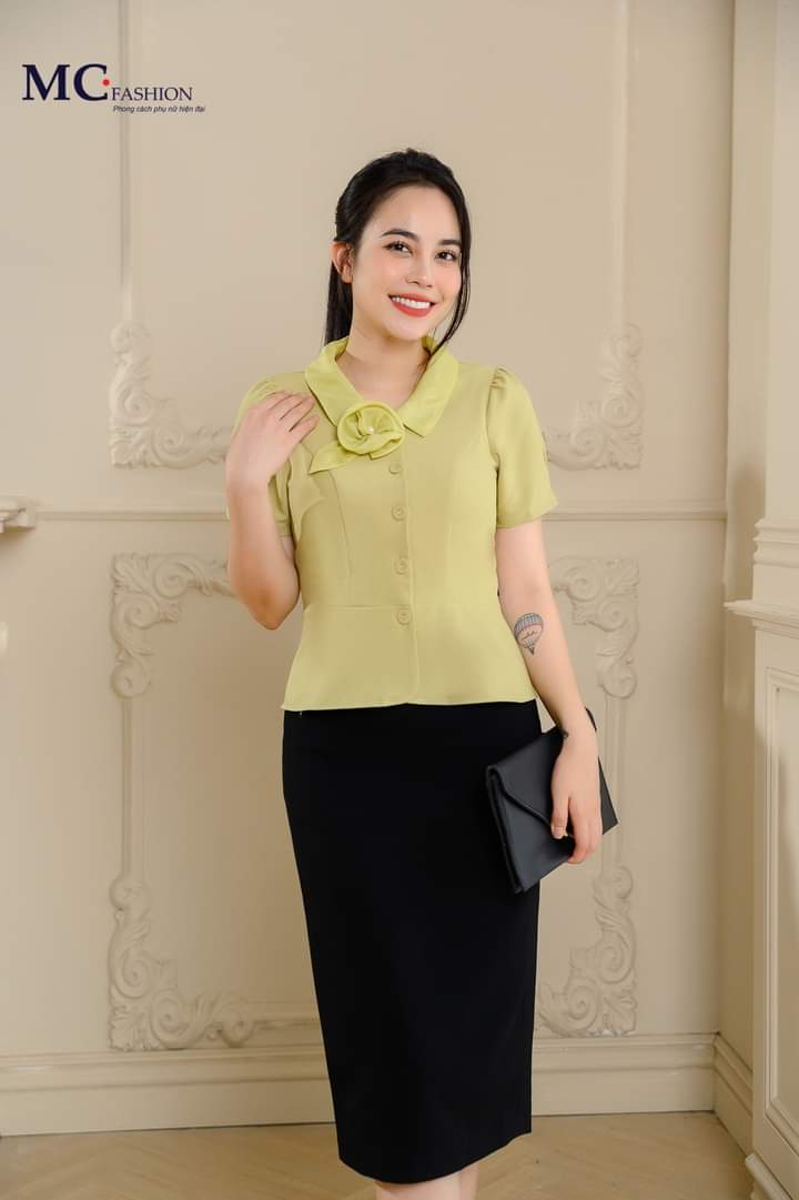 Áo công sở thanh lịch b0044
