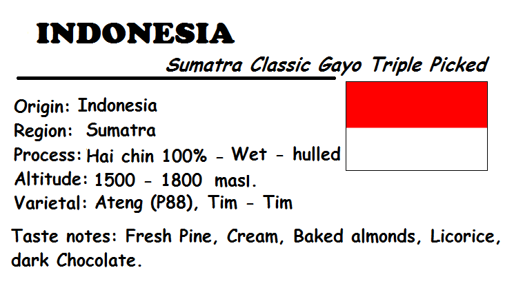 Special coffee - hạt - 2 túi 250 gram cà phê arabica indonesia - sumatra classic gayo triple picked.