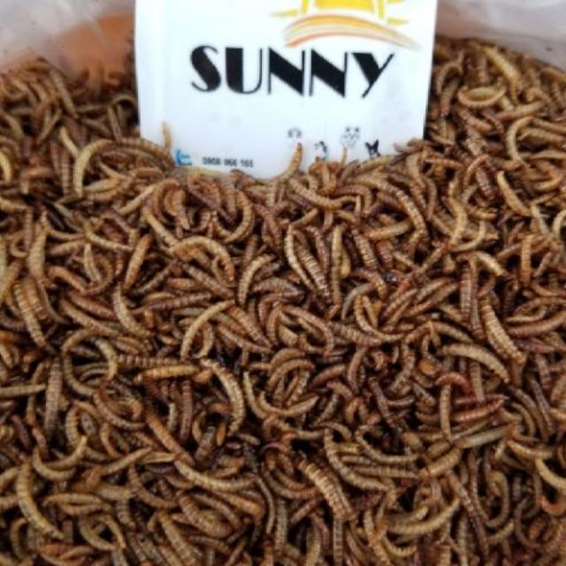 Sâu nhỏ rang cho hamster, sóc,nhím 100g
