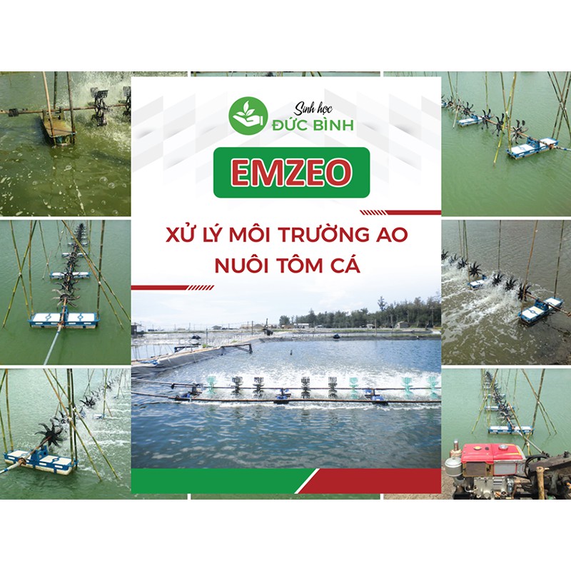 Men Vi Sinh Xử Lý Môi Trường Ao Nuôi Tôm Cá