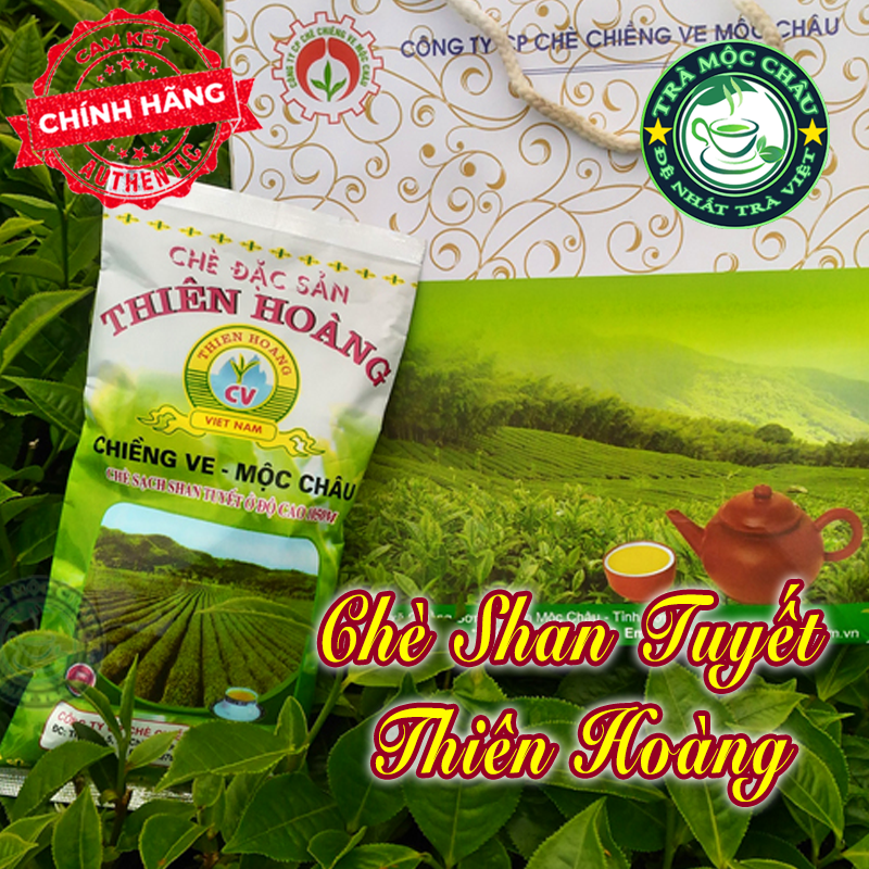 Chè shan tuyết thiên hoàng - chè đặc sản mộc châu