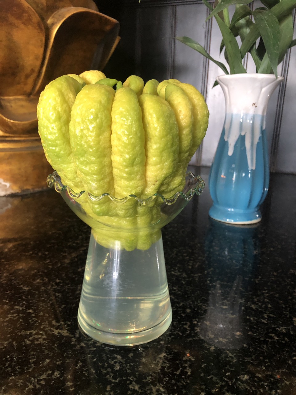 [HCM]Ly đựng phật thủ lọ thủy tinh trồng cây nuôi cá nha đam thủy canh để bàn phong thủy15cm x 15cm hydroponic mini fish tank ML-PT2