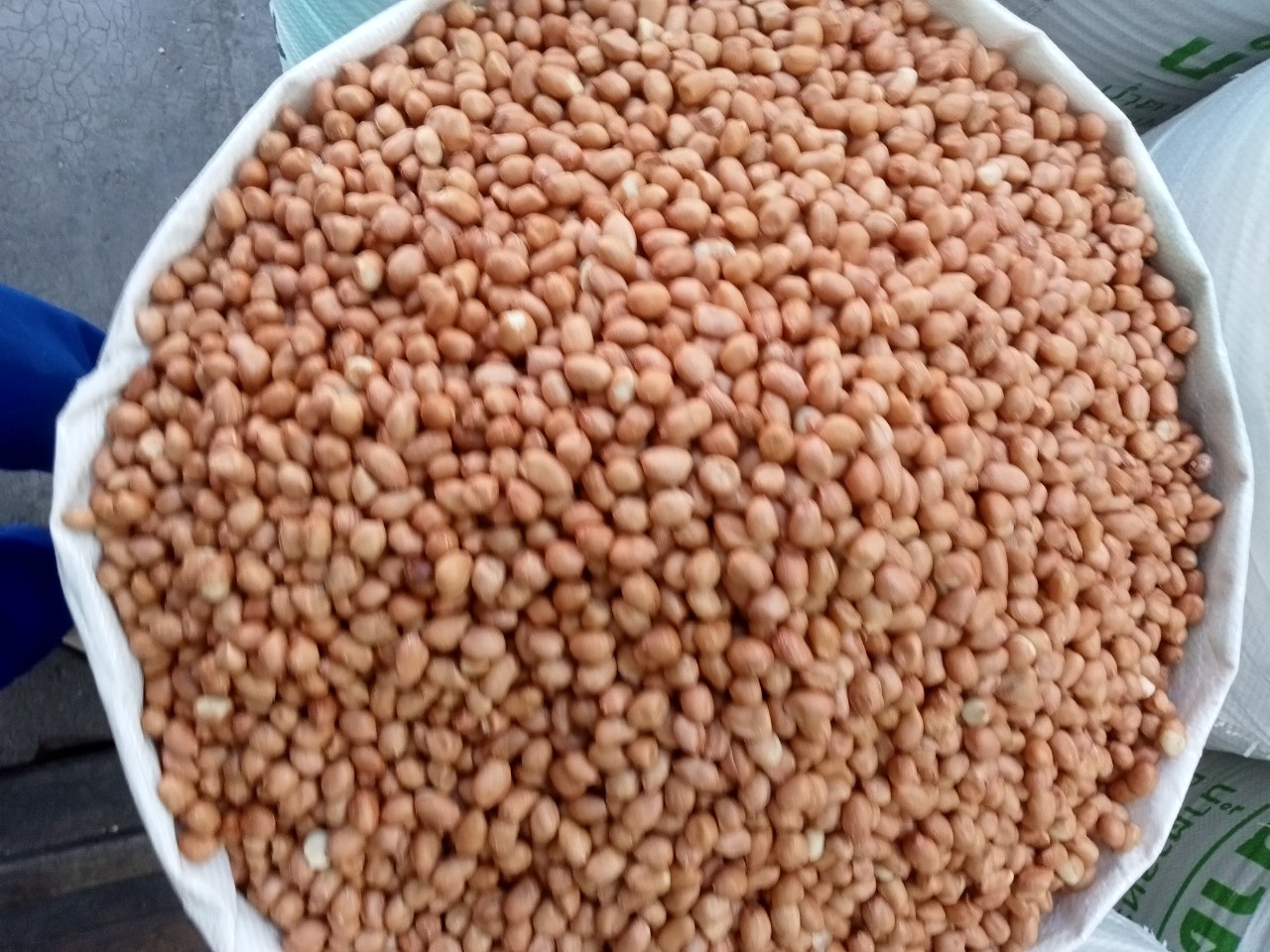 1 kg đậu phộng ,lạc nhân sống lạc mới thơm ngon