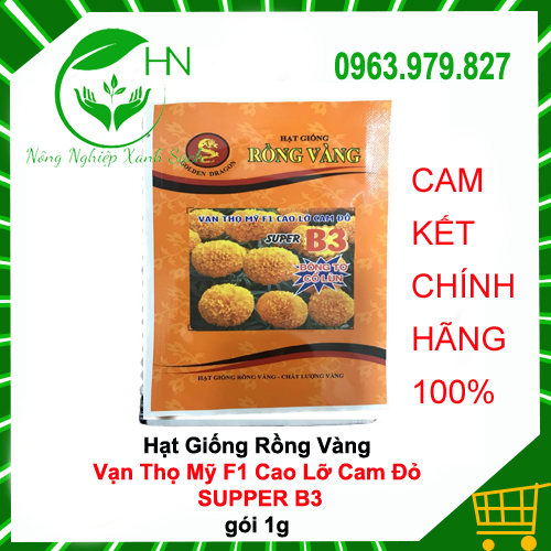 Hạt Giống Vạn Thọ Mỹ F1 Cao Lỡ Cam Đỏ Super B3  Bông To - Cổ Lùn của Rồng Vàng