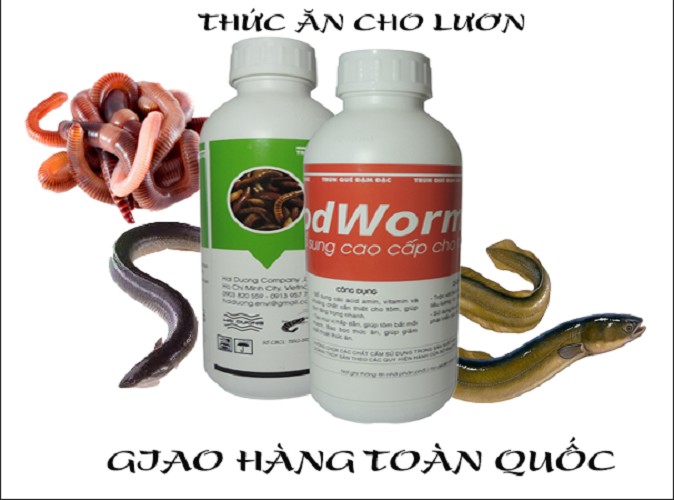 3 chai dung dịch trùn quế cho cá chạch lấu