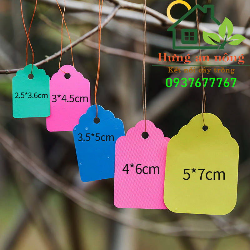 Set 100 thẻ treo kèm sẵn dây dùng đánh dấu ghi nhớ tên giống cây trồng - size 2.5x3.5cm/3x4.5cm/4x6cm/5x7cm