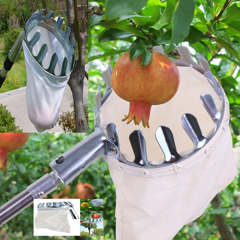 Vợt hái trái cây trên cao, Dụng cụ hái quả trên cao đa năng kèm túi vải.