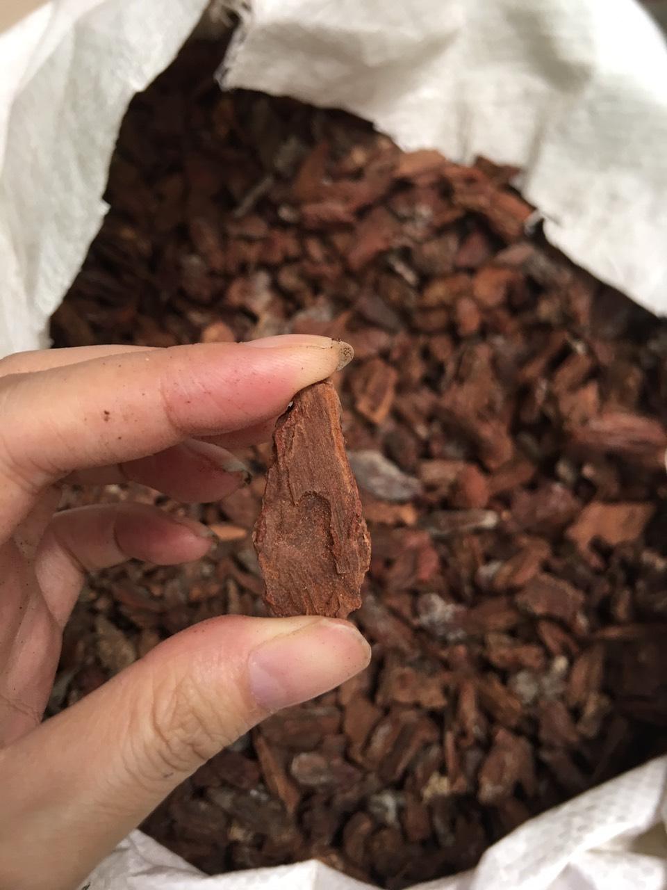 Vỏ thông trồng Lan - Đã qua xử lý đk 2-4 túi 1kg [HÀNG ĐẸP]