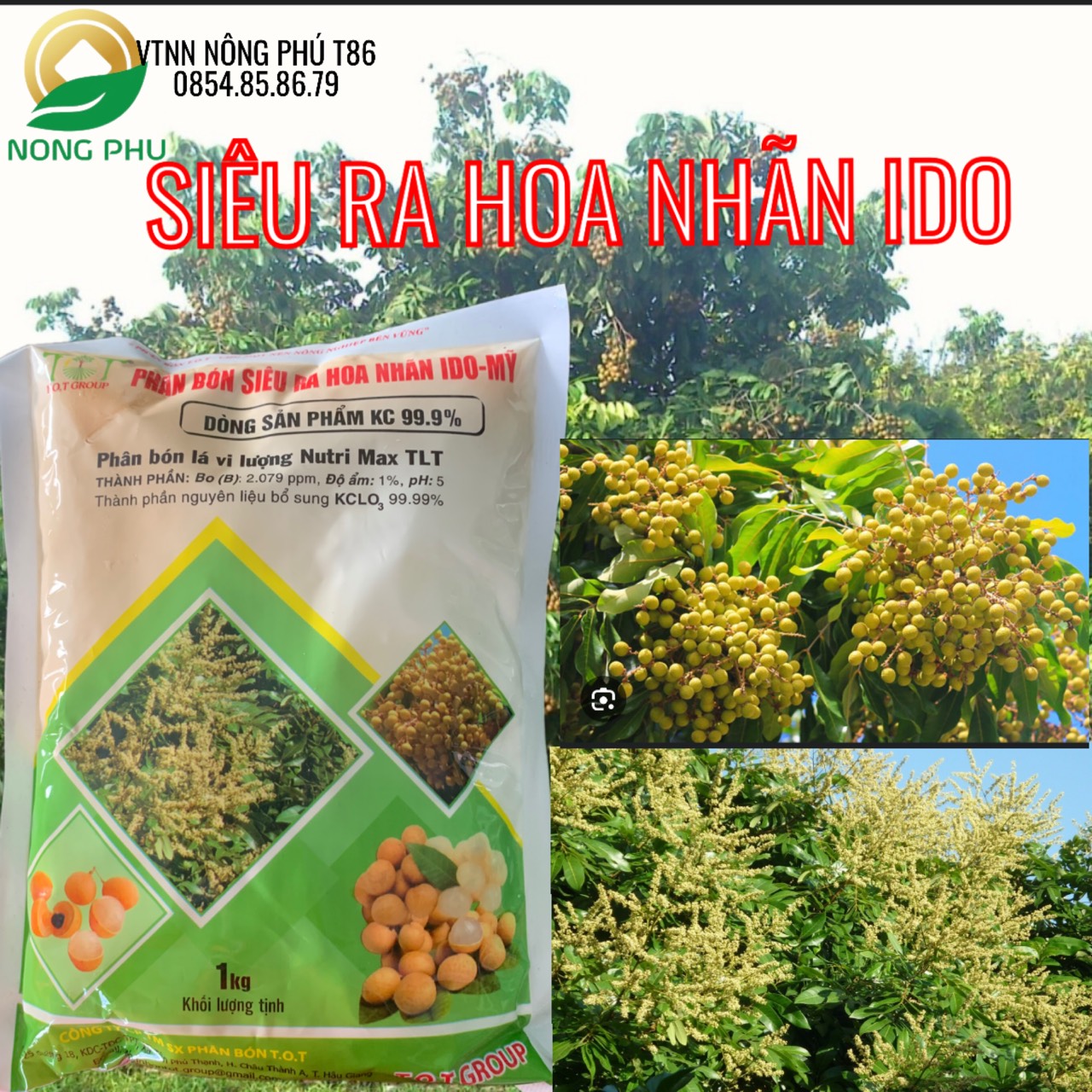 Phân bón siêu ra hoa nhãn ido-mỹ - vtnn nông phú t86