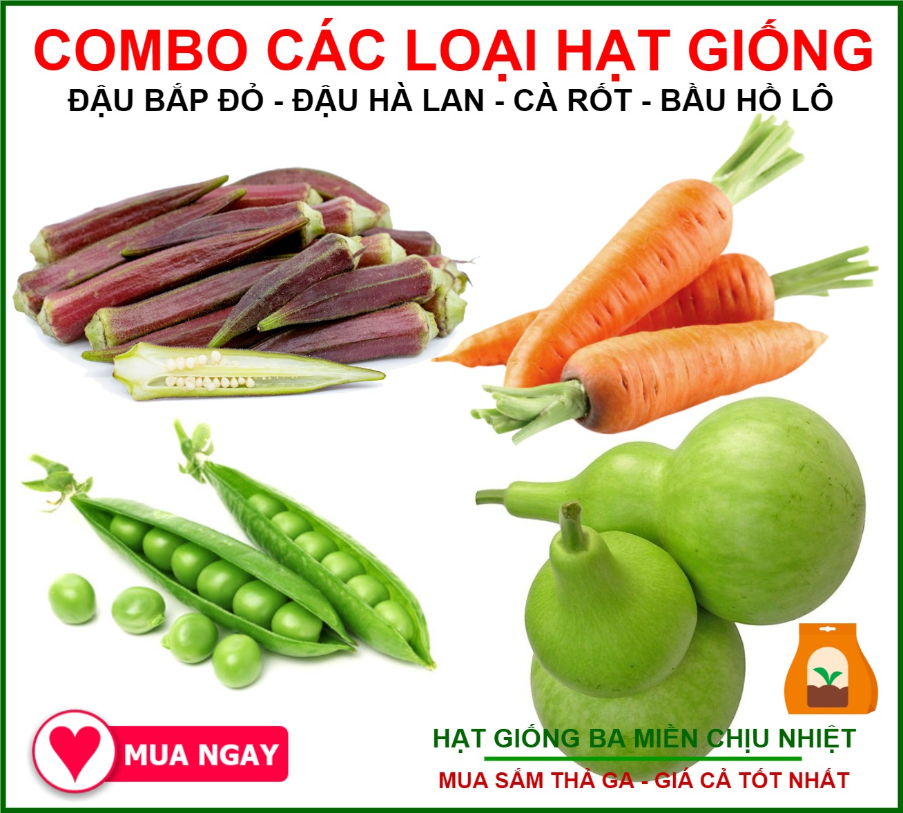 Combo 4 Loại Hạt Giống Đậu Bắp Đỏ, Đậu Hà Lan, Cà Rốt và Hạt Bầu Hồ Lô