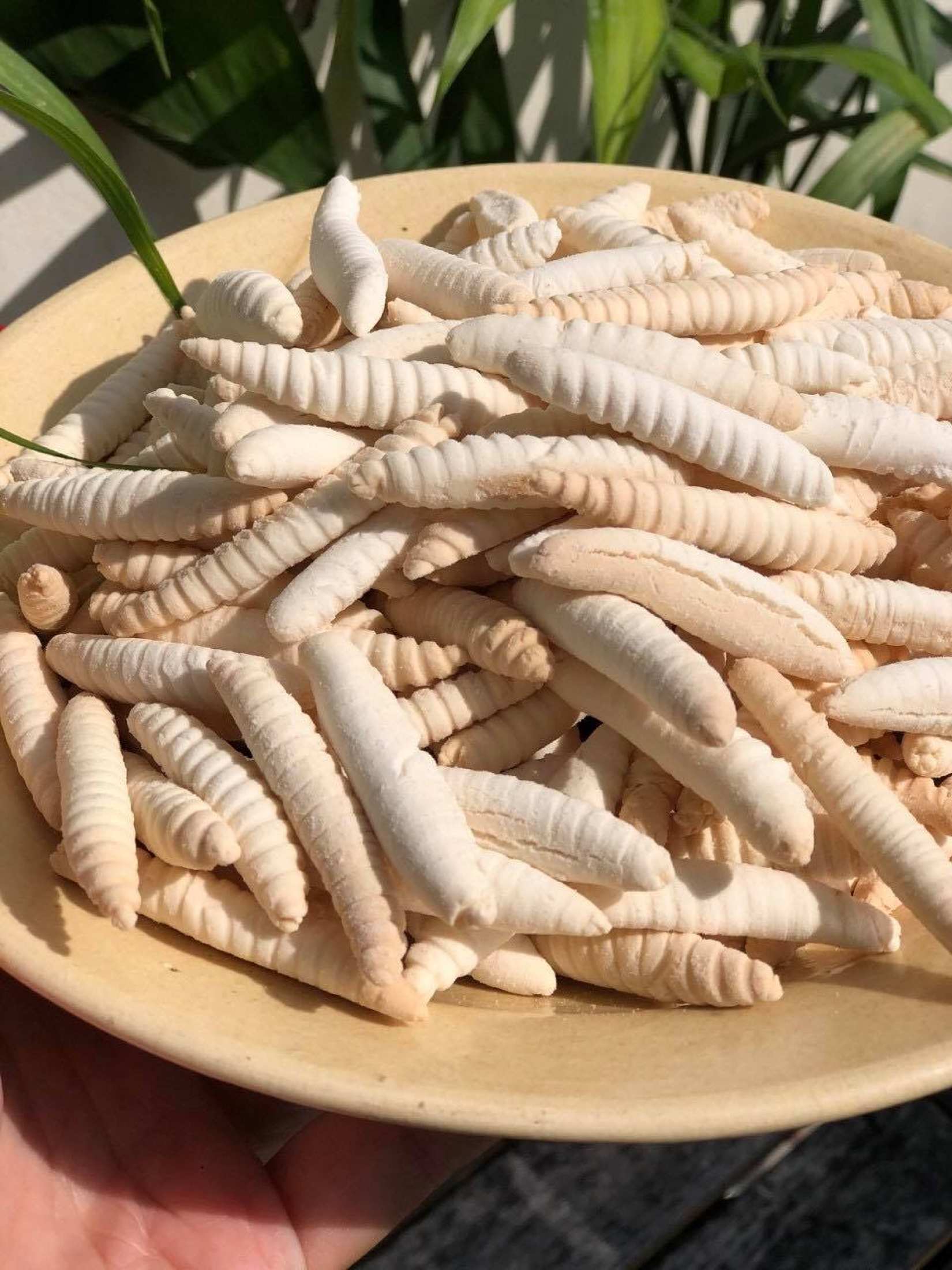 Bánh men đuông sữa thơm ngon 200g/500g/1kg-đồ ăn vặt -bách hoá online
