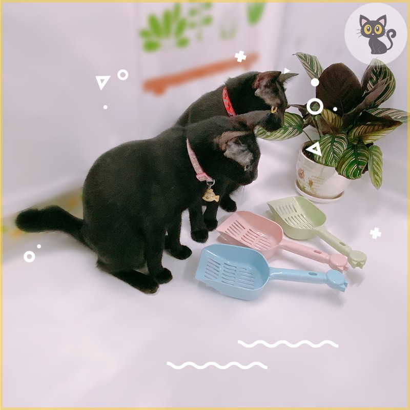 Xẻng xúc cát vệ sinh cho mèo - py pug & cat mun