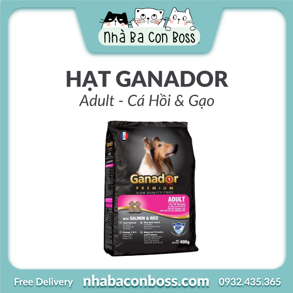 Hạt Ganador Adult Cho Chó