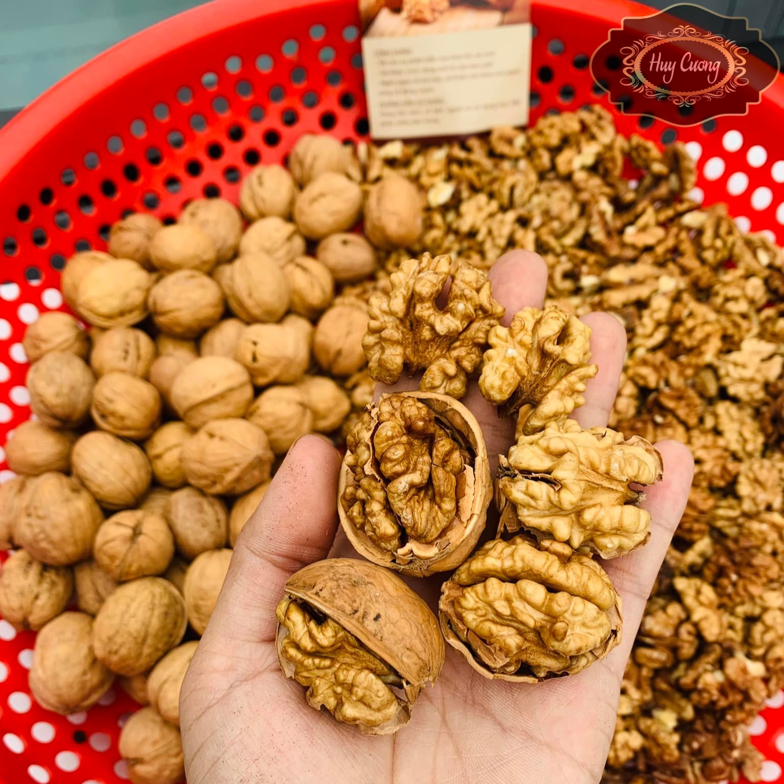 Óc chó nếp vàng, óc chó giấy loại 1, nguyên vỏ, chưa tách vỏ. Óc chó sống sấy khô từ óc chó tươi rừng Hà Giang, làm sữa hạt
