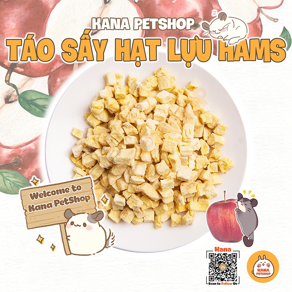 Táo nam mỹ sấy hamster 🐹freeship🐹 đồ ăn vặt táo sấy lạnh thức ăn dặm bổ sung dinh dưỡng cho hamster, sóc, sóc bay