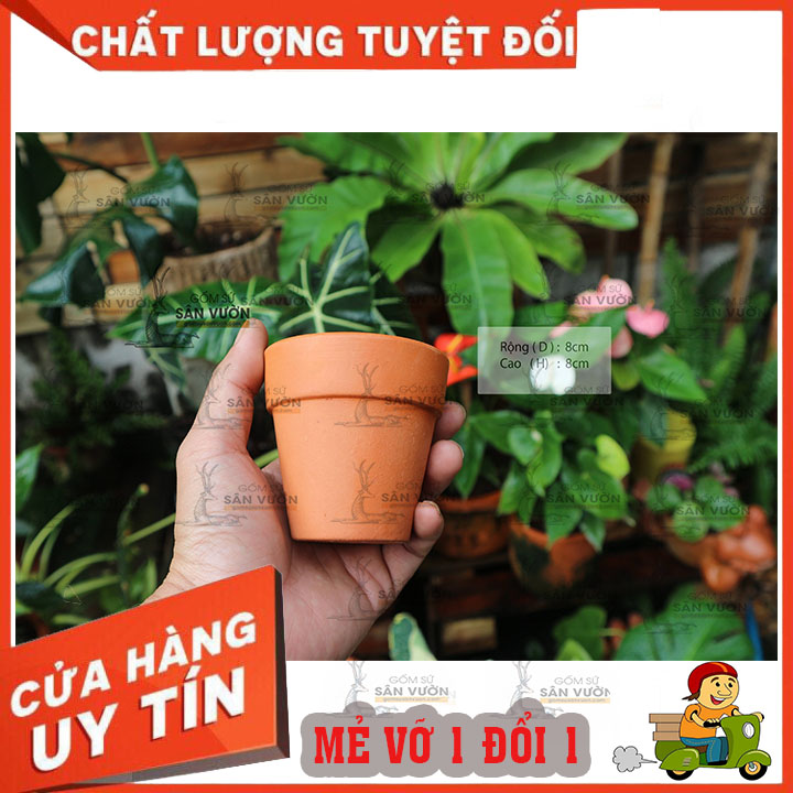 COMBO 6 CHẬU LY GỜ (Basic) 8cm. Gốm đất nung xuất xứ Bình Dương