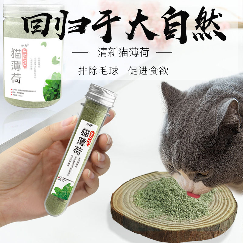 Cỏ mèo, cỏ catnip cỏ bạc hà dạng ống màu xanh cho mèo