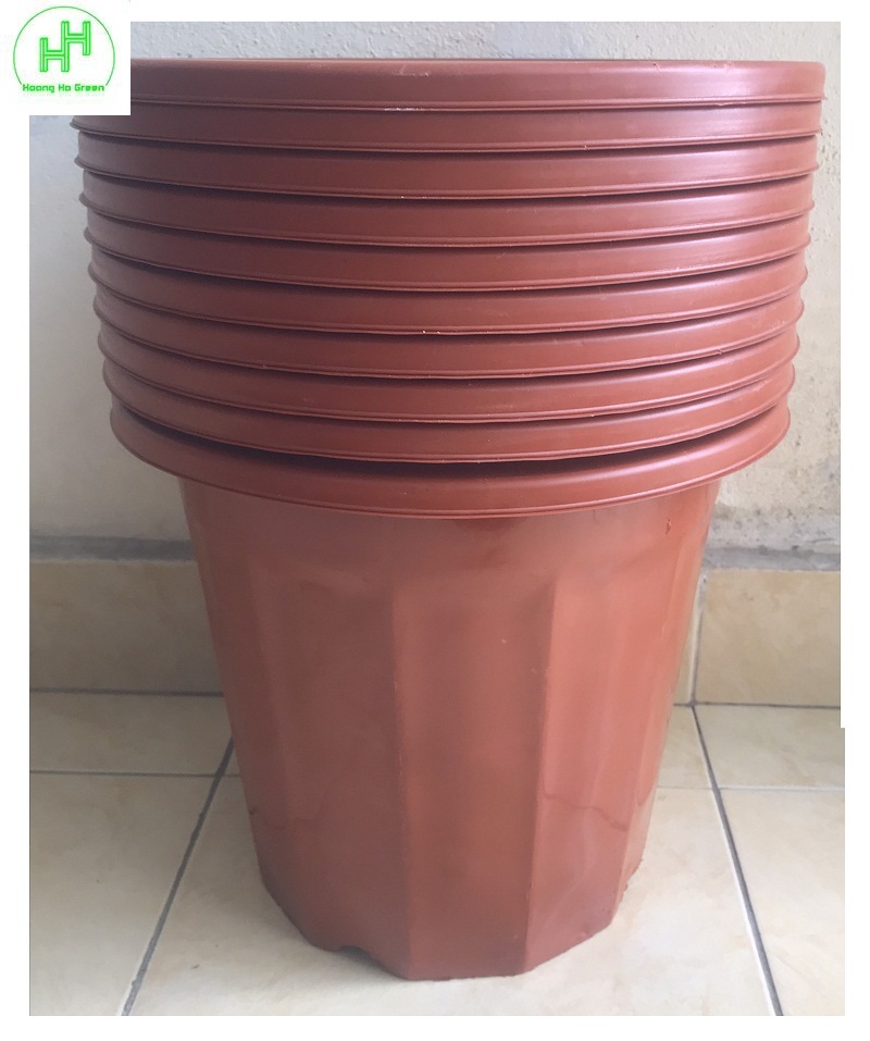 10 chậu nhựa trồng hoa, cây cảnh e350 cn màu nâu