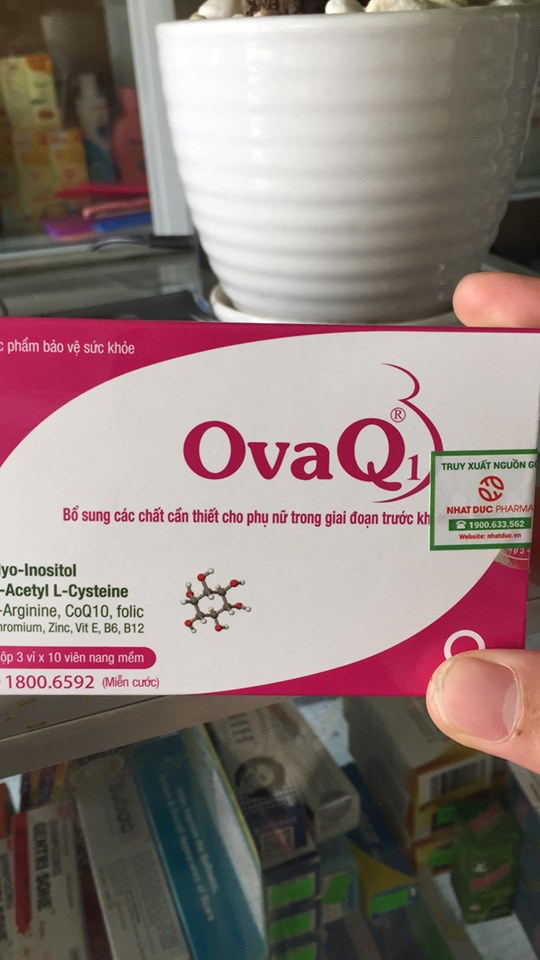 COMBO MUA 5 TẶNG 1 OVAQ1  GIÚP KHOẺ TRỨNG MANG THAI TỰ NHIÊN