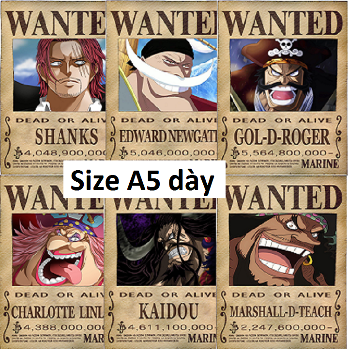 Bộ 6 tấm truy nã tứ hoàng+Râu trắng, Roger Onepiece size A5 dày