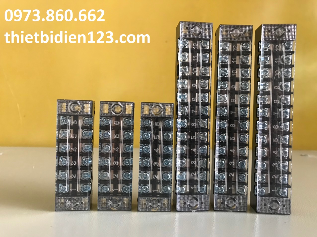 Cầu đấu điện tiếp điểm bạc 15A 6P 12P - Domino TB1506, TB1512