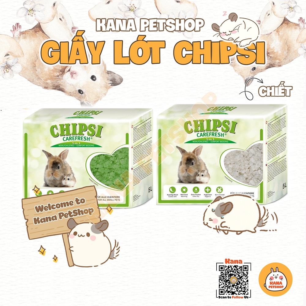 Giấy lót Hamster 🐹FREESHIP🐹 Giấy Lót Carefresh CHIPSI 80G Chính Hãng Cho Hamster, Sóc, Nhím ....