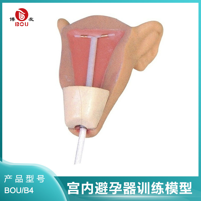 +NEW Người viết blog BOU  Mô hình đào tạo IUD nâng cao   Mô hình hướng dẫn kế hoạch hóa gia đình và biện pháp tránh thai