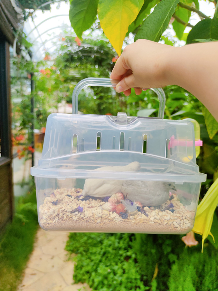 Lồng mini trong suốt cho hamster