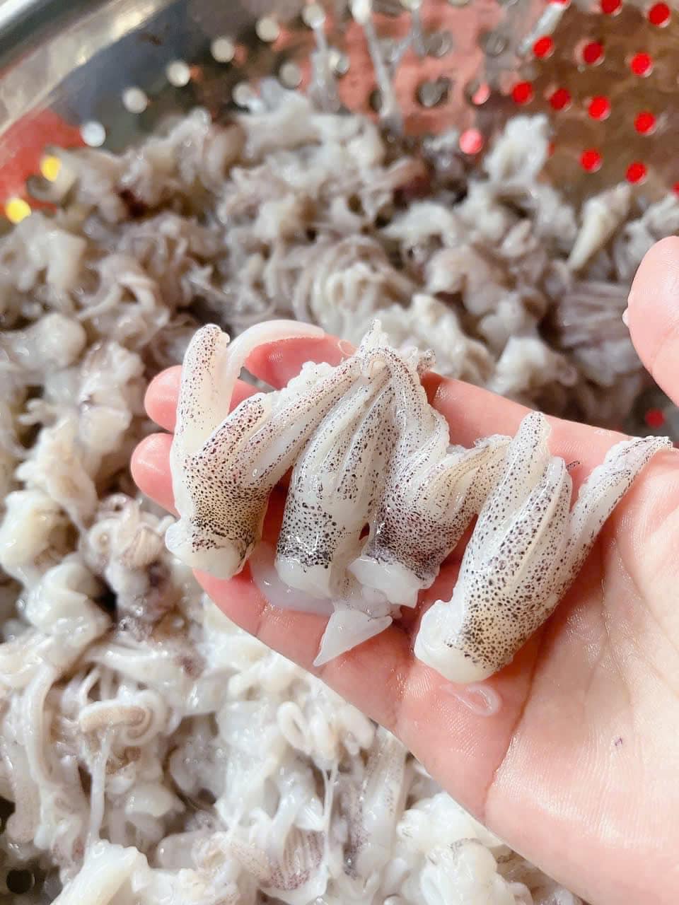 Mini Squid Heads - 1kg Bag (Fast Delivery to Hcmc)