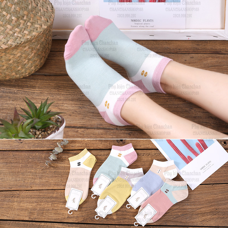 Combo 5 vớ ngắn sz nữ nhiều mẫu họa tiết 65k