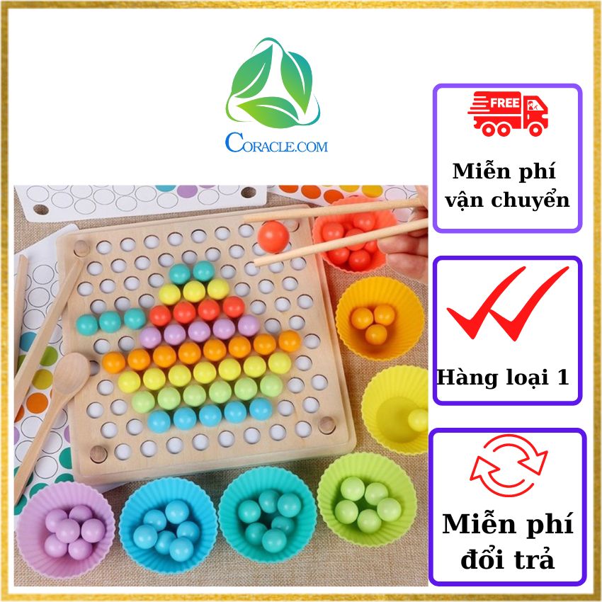 Đồ chơi gỗ m52 coracle đồ chơi gắp bi gỗ montessori, bộ gắp hạt kèm bát kích thích sáng tạo cho bé.