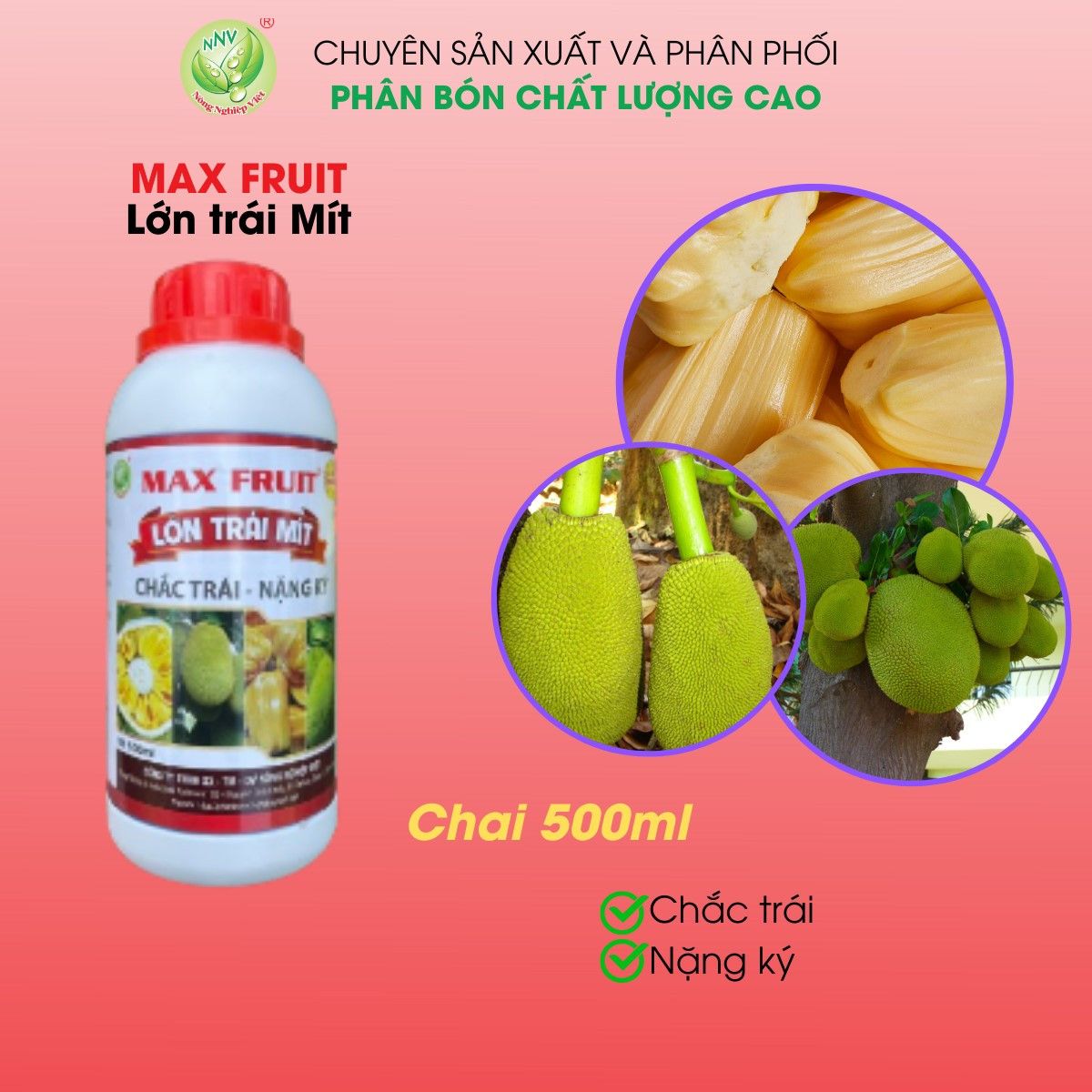Max fruit lớn trái mít 500ml