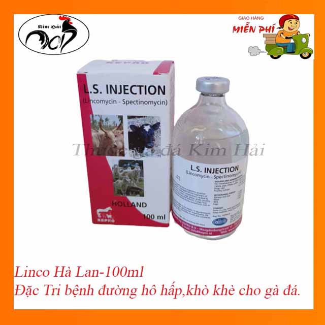 Linco spectin-Hà lan[Lọ 100ml][dạng chích]-thuốc gà đá-khò khè.sổ mũi,các bệnh đường hô hấp.