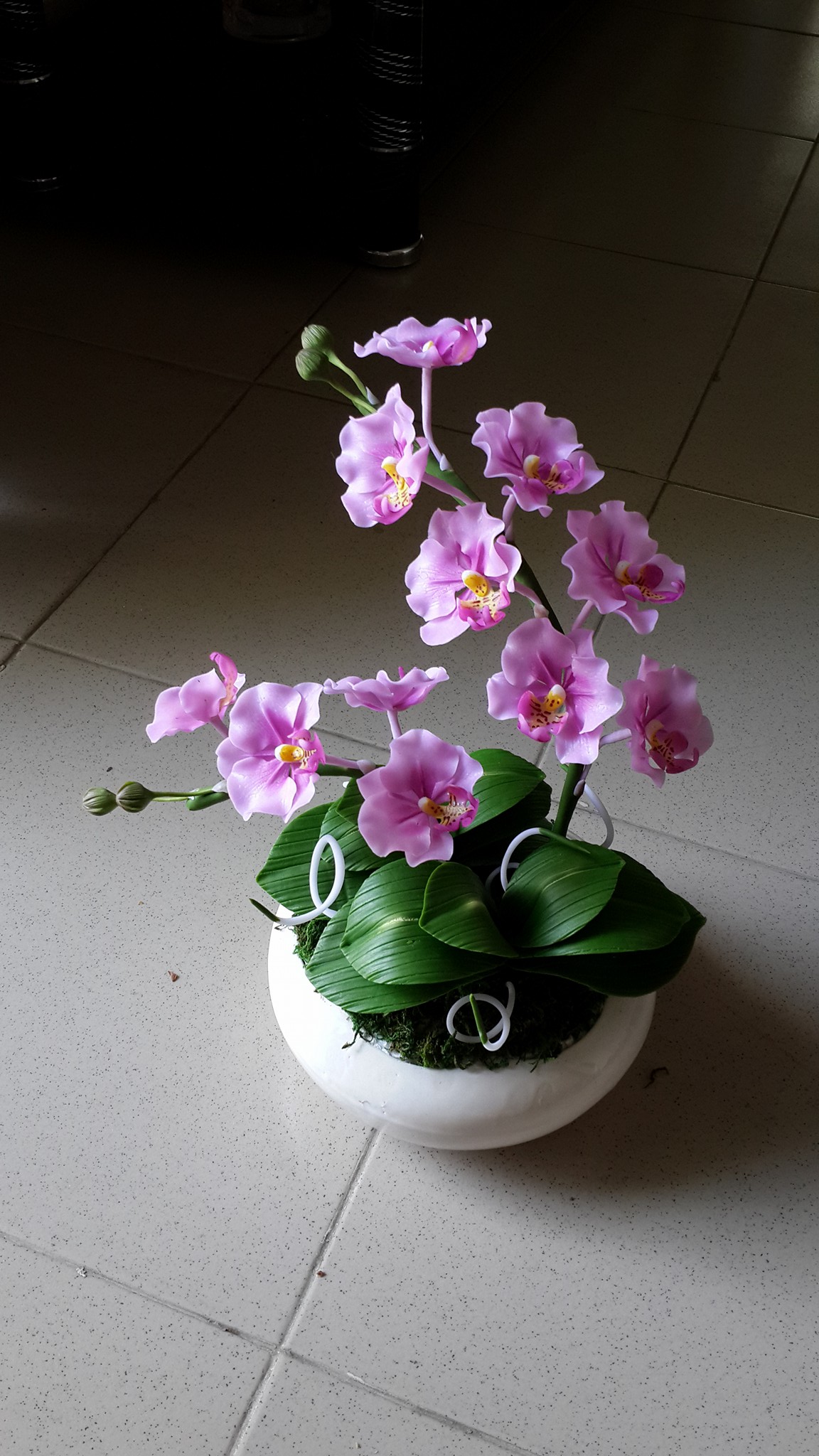 Hoa lan hồ điệp đất sét size trung