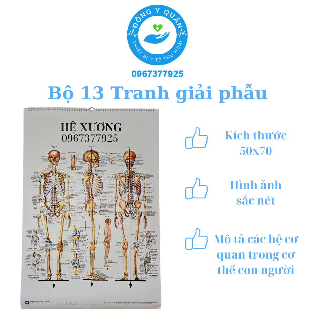 Bộ 13 tranh giải phẫu các hệ cơ quan trong cơ thể người- Nhà xuất bản y học- rõ nét- sinh động- kích thước 50cmx70cm