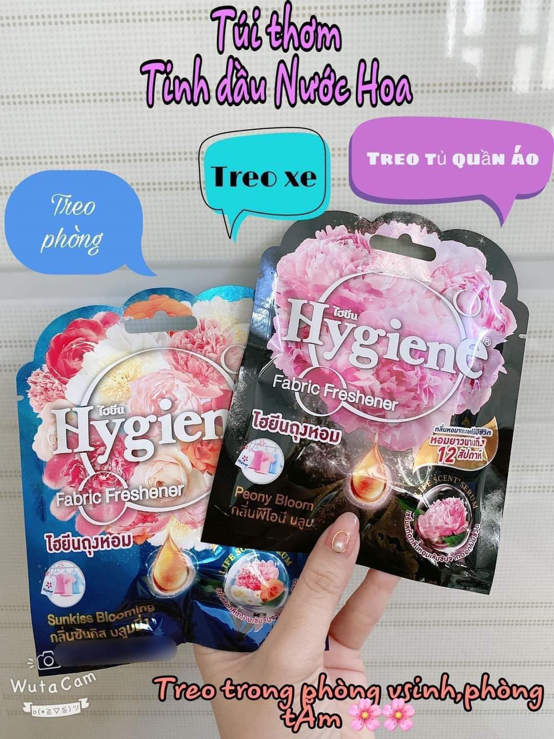 Túi Thơm Hygiene Đậm Đặc