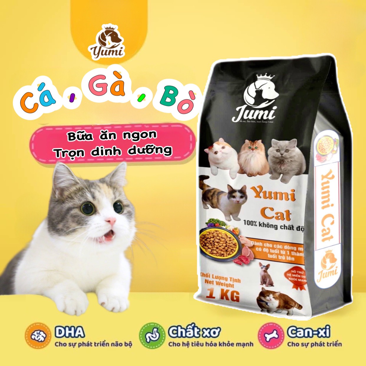 Thức ăn cho mèo - 2 KG hạt nhỏ YUMI CAT thơm ngon bổ dưỡng hương vị cá hồi