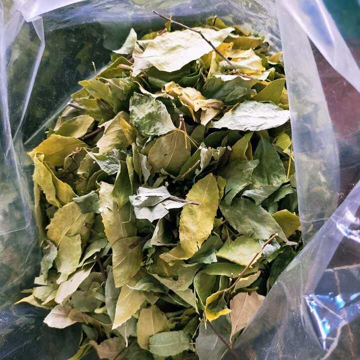 1kg chè dung loại 1 tốt cho benh dạ dày