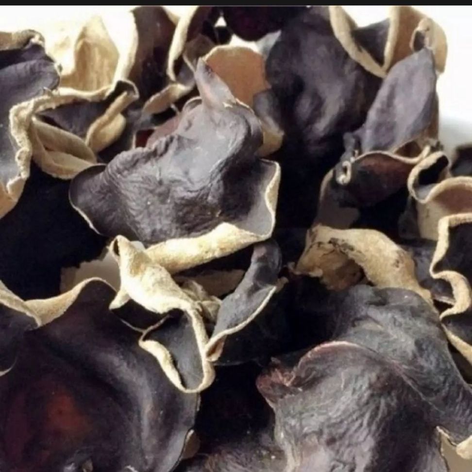 mộc nhĩ rừng 500g, hàng chuẩn