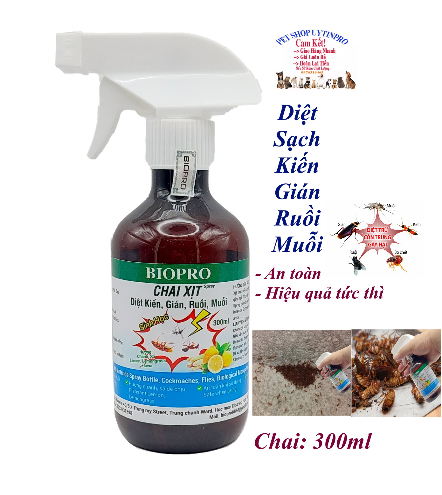  Chai xịt diệt kiến diệt gián ruồi muỗi Sinh học Biopro Chai 300ml Diệt sạch côn trùng gây hại An toàn Hiệu quả Sx tại VN 