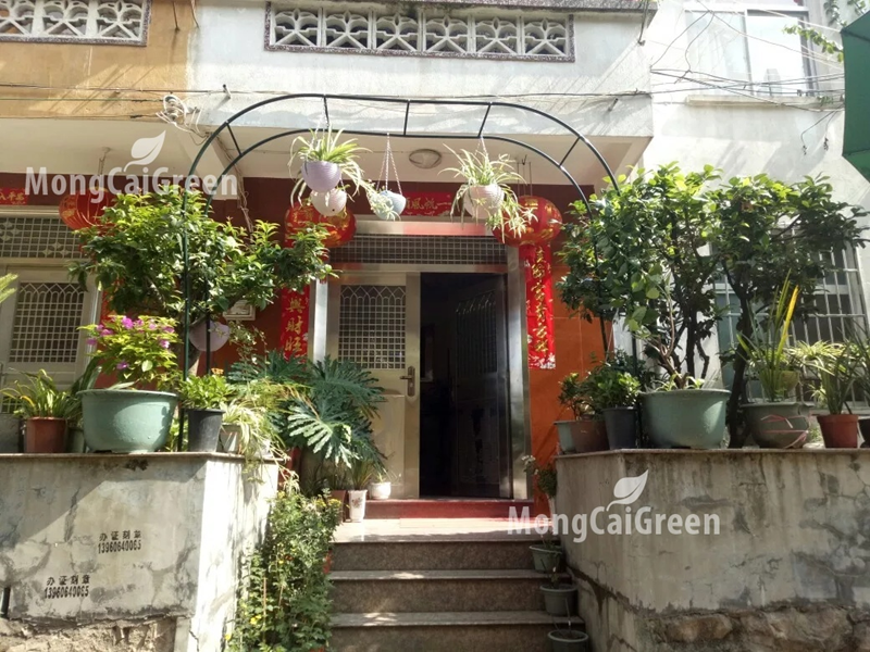 Khung cổng vòm rộng 2m3 cao 2m4 sắt phi 16mm màu xanh cho hoa leo - mcg-99, chất lượng đảm bảo an toàn đến sức khỏe người sử dụng, cam kết hàng đúng mô tả