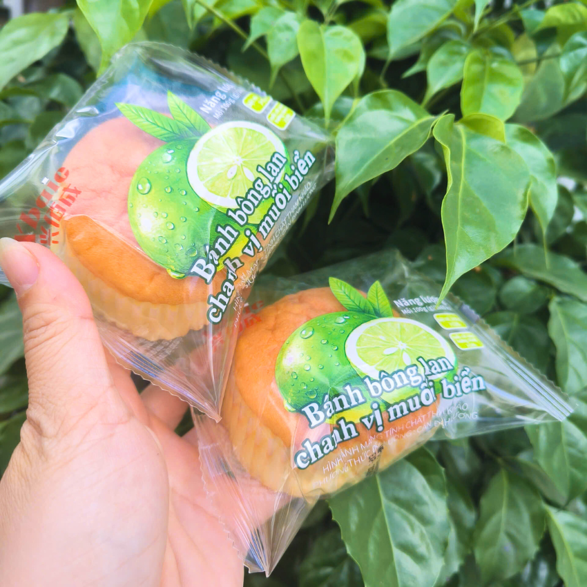 Thùng 2kg Bánh Bông Lan Phomai Kéo Sợi, Chanh Muối Biển, Sữa Đậu Nành Mềm Thơm B286 - Gia Ngân Food