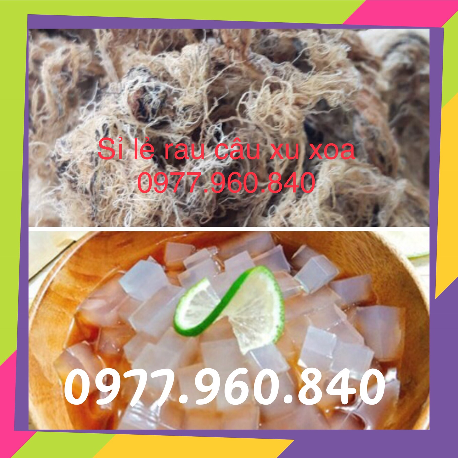 1KG RONG BIỂN RAU CÂU CHỈ VÀNG SẠCH QUẢNG NGÃI NẤU XU XOA HOÀN TOÀN TỪ THIÊN NHIÊN