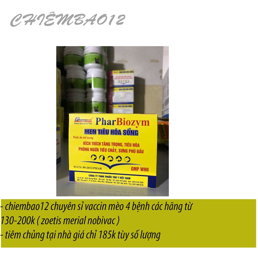 Men tiếu hóa biotic hỗ trợ điều trị tiêu chảy chó mèo