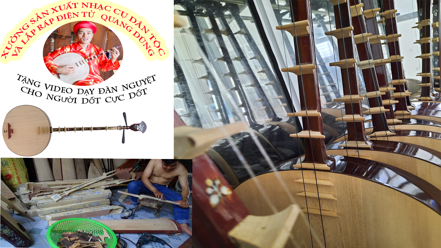 Đàn nguyệt gỗ  đen