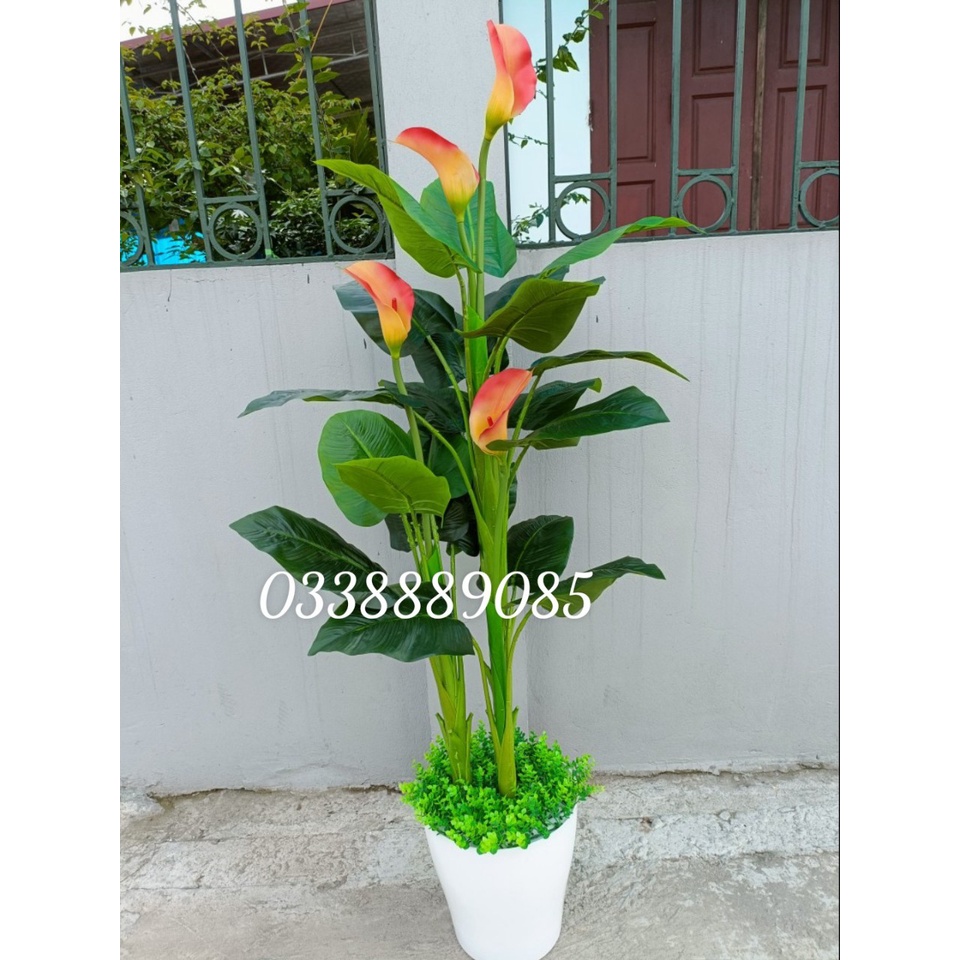 Cây giả- cây hoa rum 1,6m siêu đẹp