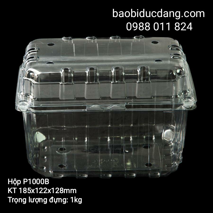50 hộp nhựa đựng  trái cây 1kg mã P1000B ( có lỗ thoát khí và nút gài)