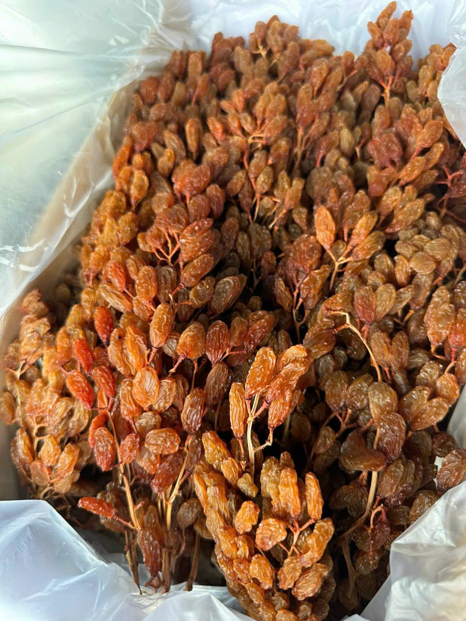 1KG NHO KHÔ ÚC LONG THOMPSON RỜI TỪ CÀNH TRÁI TO, DÀI NGỌT TỰ NHIÊN, SIÊU NGON